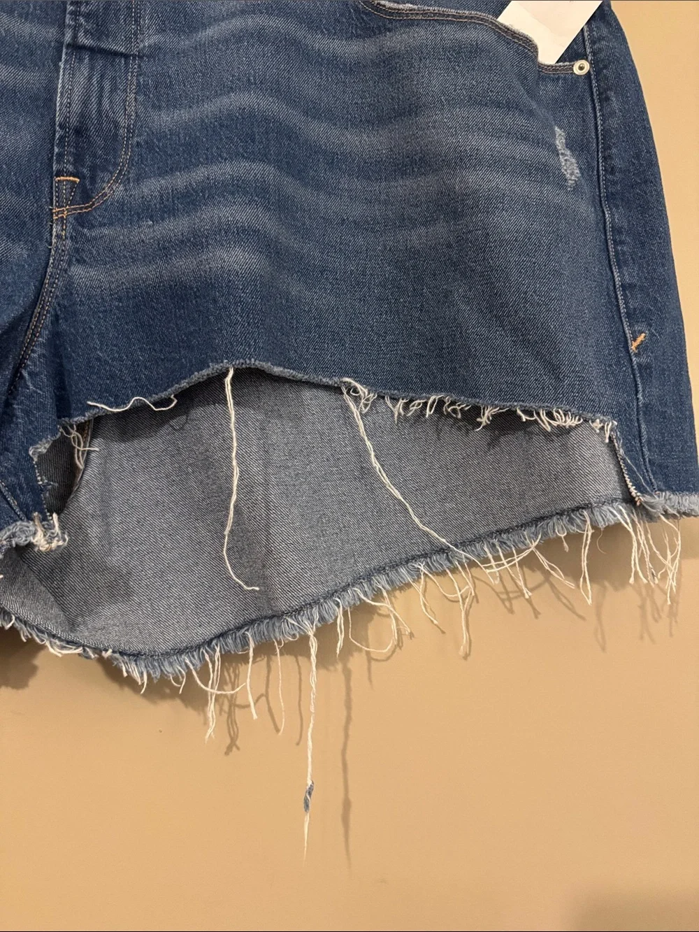 NWOT- Good American Good 90s cut off shorts, plus size 24